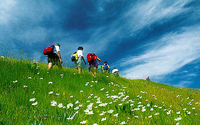 Progredire nello Yoga: la destinazione e la valigia Progredire nello Yoga: la destinazione e la valigia