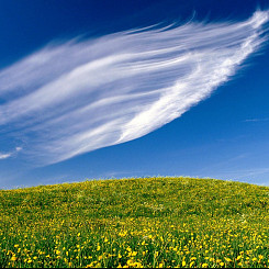 L'incontro con il respiro